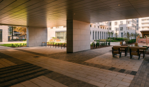 Черная речка, 41